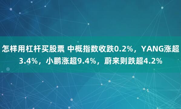 怎样用杠杆买股票 中概指数收跌0.2%，YANG涨超3.4%，小鹏涨超9.4%，蔚来则跌超4.2%