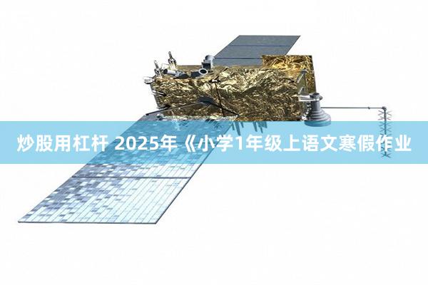 炒股用杠杆 2025年《小学1年级上语文寒假作业