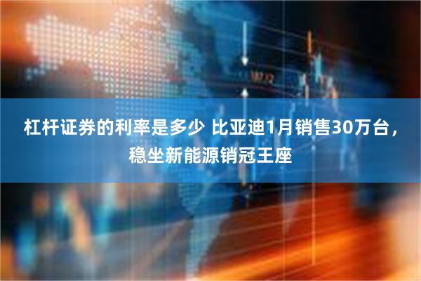 杠杆证券的利率是多少 比亚迪1月销售30万台，稳坐新能源销冠王座