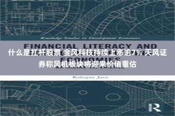 什么是扛杆股票 金风科技持续上涨逾7% 天风证券称风机板块将迎来价值重估