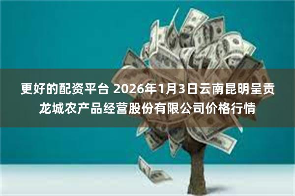 更好的配资平台 2026年1月3日云南昆明呈贡龙城农产品经营股份有限公司价格行情